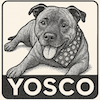 Yoscotech Logo